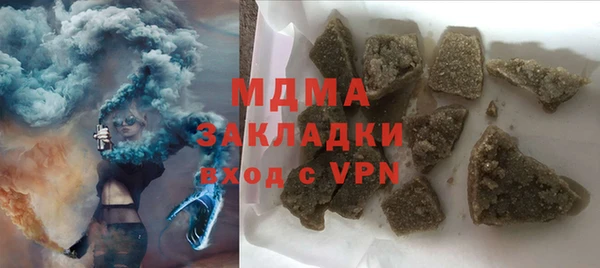 хмурый Аркадак