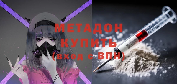 хмурый Аркадак