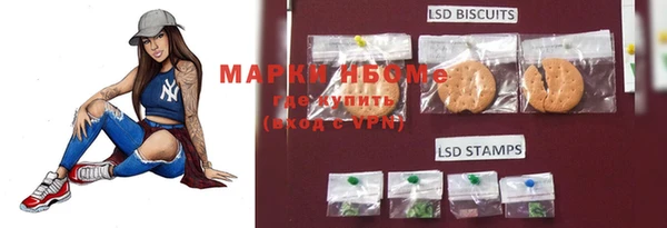 индика Зерноград
