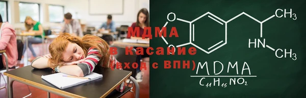 хмурый Аркадак