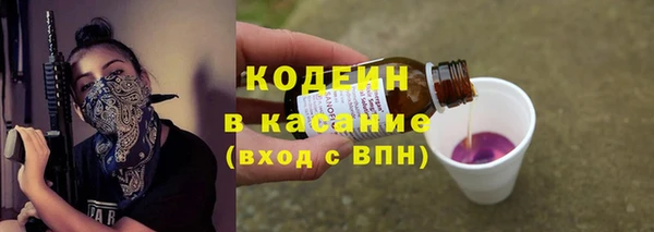 хмурый Аркадак