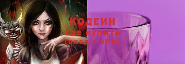 хмурый Аркадак