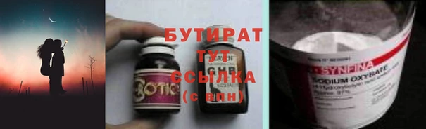 хмурый Аркадак