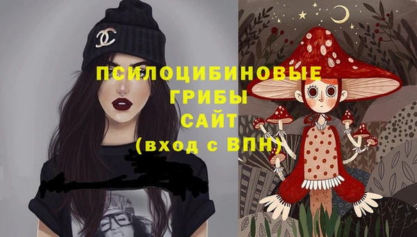 тгк Арсеньев