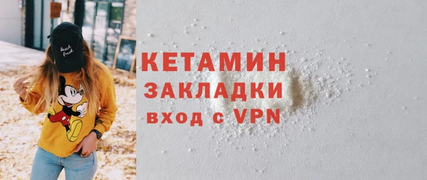 хмурый Аркадак