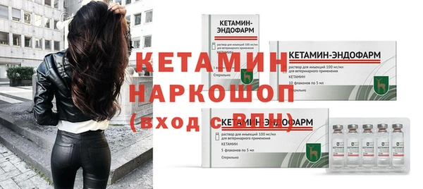 хмурый Аркадак