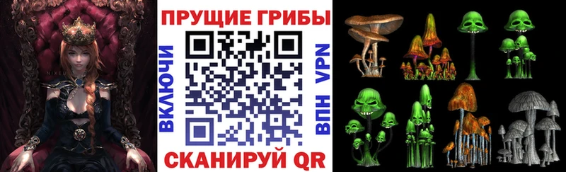 магазин    Темрюк  Псилоцибиновые грибы MAGIC MUSHROOMS 
